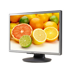 19" Wide LCD Monitor
