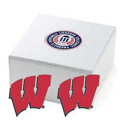 Wisconsin Badgers NCAA Logo